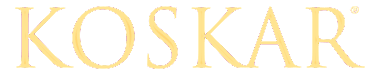 logo-sticky-sari